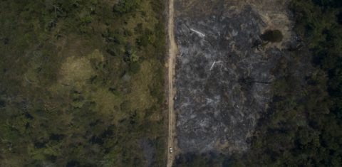 Território alvo de desmatamento em Novo Progresso, Pará: alertas de desmatamento do Inpe em maio de 2021 foram recorde para o mês, passando de mais de mil quilômetros da área desmatada - (Foto: Fernando Souza / AGIF / AFP - 15/082020)