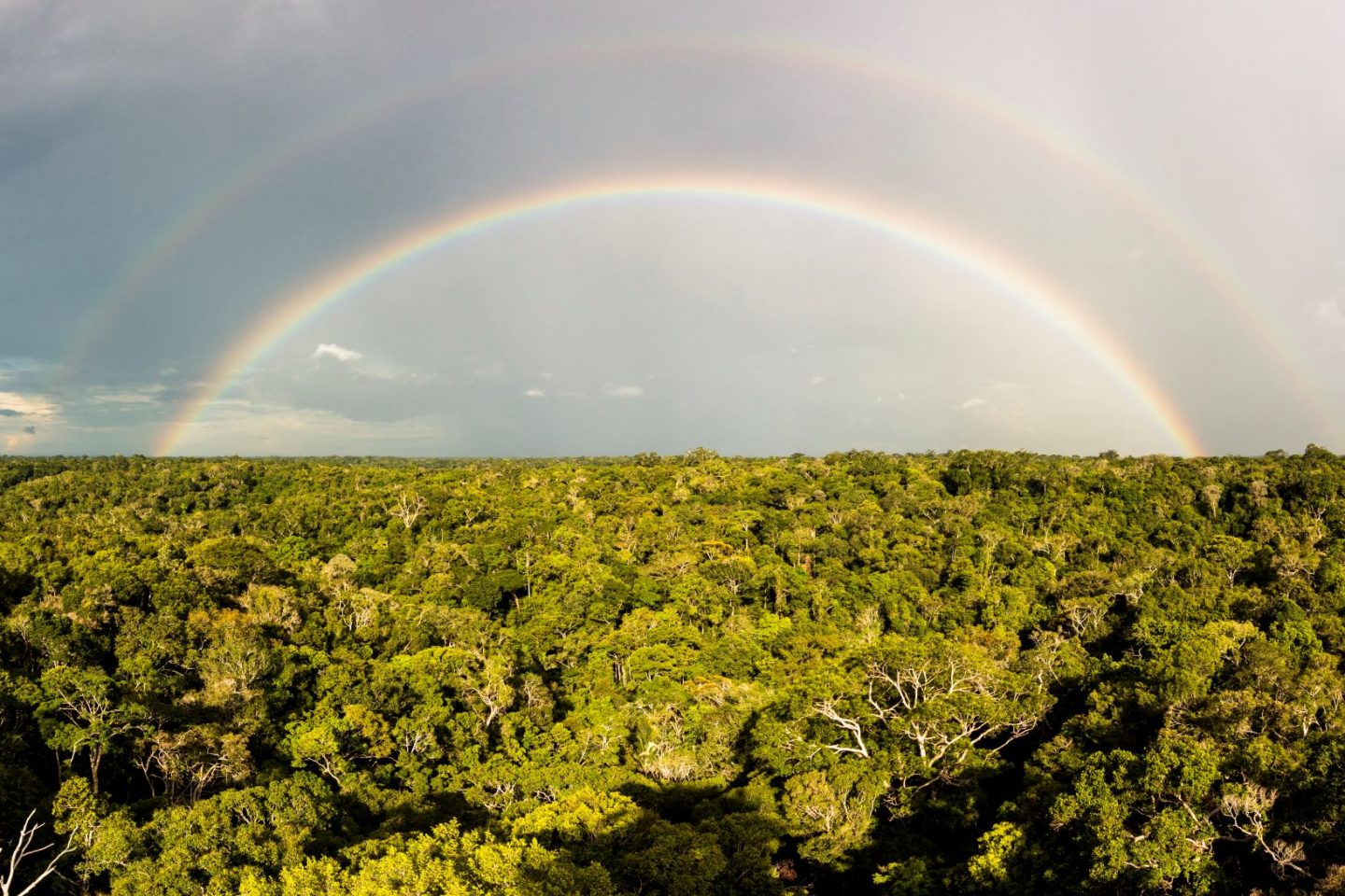 Arco-íris sobre a Floresta Amazônica, perto de Manaus: multinacional Puma faz acordo com ONG ambiental em que se compromete a comprar matérias-primas que não sejam provenientes de florestas ameaçadas (Foto: Raphael Sane / Biosphoto / AFP - 15/01/2021)