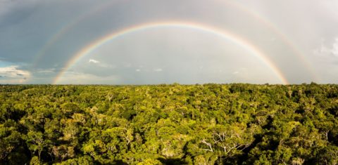 Arco-íris sobre a Floresta Amazônica, perto de Manaus: multinacional Puma faz acordo com ONG ambiental em que se compromete a comprar matérias-primas que não sejam provenientes de florestas ameaçadas (Foto: Raphael Sane / Biosphoto / AFP - 15/01/2021)