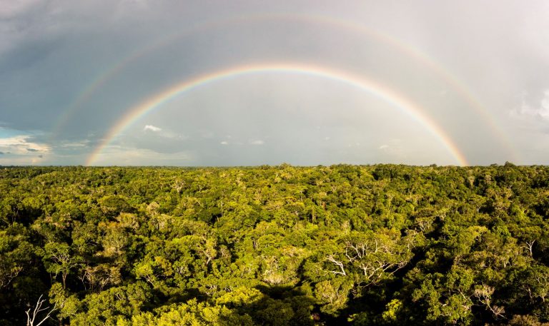 Arco-íris sobre a Floresta Amazônica, perto de Manaus: multinacional Puma faz acordo com ONG ambiental em que se compromete a comprar matérias-primas que não sejam provenientes de florestas ameaçadas (Foto: Raphael Sane / Biosphoto / AFP - 15/01/2021)