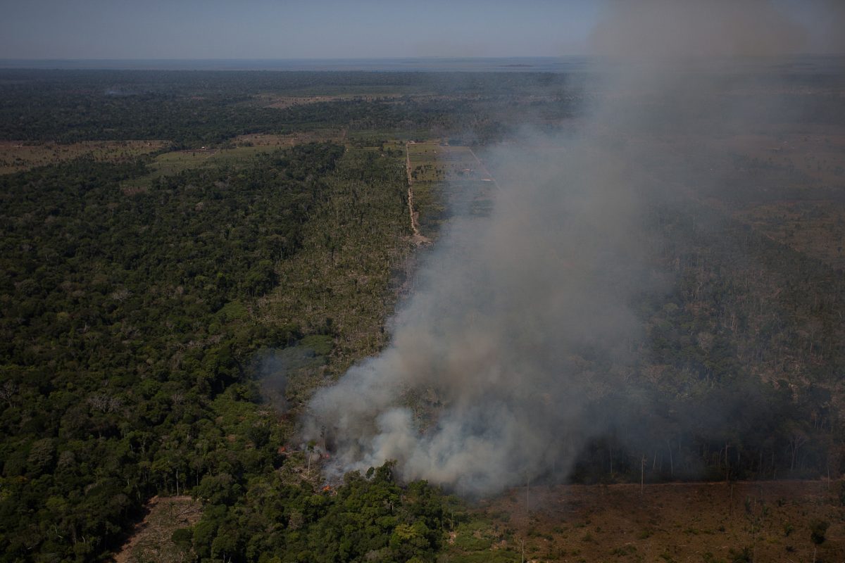Queimada próxima à Floresta Nacional do Jacundá, em Rondônia: Brasil perdeu 24 árvores por segundo, de acordo com MapBiomas (Foto: Bruno Kelly/Amazonia Real - 07/08/2020)