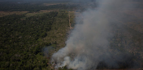Queimada próxima à Floresta Nacional do Jacundá, em Rondônia: Brasil perdeu 24 árvores por segundo, de acordo com MapBiomas (Foto: Bruno Kelly/Amazonia Real - 07/08/2020)