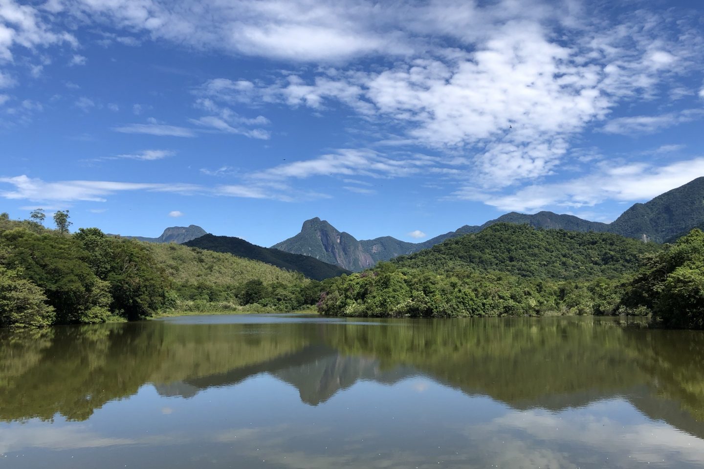 Reserva Ecológica de Guapiaçu, em Cachoeiras de Macacu (RJ): restauração da Mata Atlântica. Foto Tatiana Horta