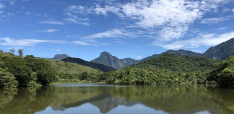 Reserva Ecológica de Guapiaçu, em Cachoeiras de Macacu (RJ): restauração da Mata Atlântica. Foto Tatiana Horta