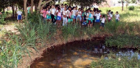 Crianças visitam nascente de rio dentro da cidade de Cuiabá (MT): projeto na Câmara ameaça áreas de proteção permanente em regiões urbanas (Foto: Luiz Alves/Prefeitura de Cuiabá)