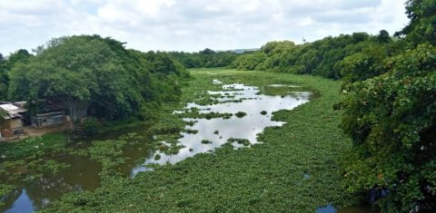 Trecho do Rio Capibaribe, no Recife: Câmara aprova proposta que transfere ao município responsabilidade de definir ocupações às margens de rios e outras Áreas de Preservação Permanente (Foto: Victor Moura - 15/06/2021)