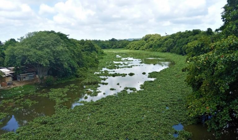 Trecho do Rio Capibaribe, no Recife: Câmara aprova proposta que transfere ao município responsabilidade de definir ocupações às margens de rios e outras Áreas de Preservação Permanente (Foto: Victor Moura - 15/06/2021)