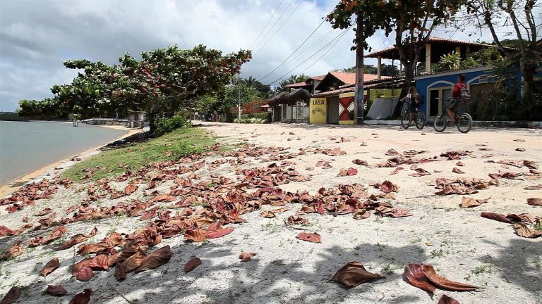 Paisagem de Santo André, Bahia