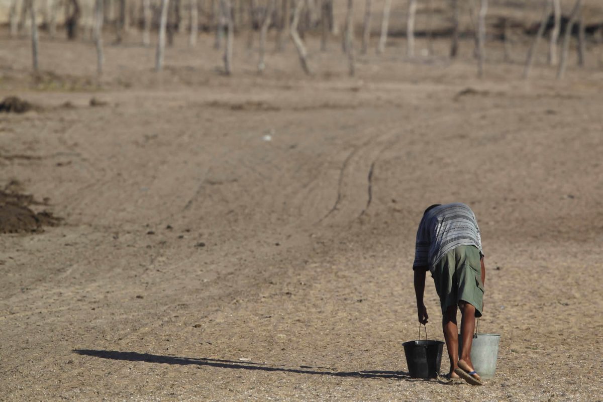 Cenário de desertificação no Nordeste do Brasil: relatório da ONU mostra que secas intensas e prolongadas aumentaram 29% desde 2000 (Foto: Custódio Coimbra)