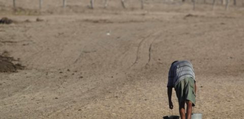 Cenário de desertificação no Nordeste do Brasil: relatório da ONU mostra que secas intensas e prolongadas aumentaram 29% desde 2000 (Foto: Custódio Coimbra)