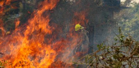 Brigadista combate fogo em área de Floresta Amazônica no Acre: agosto teve explosão de focos de incêndio (Foto: Sérgio Vale/Amazônia Real - 20/08/2020)