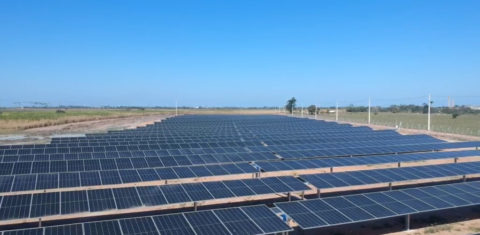 Usina de energia fotovoltaica a serviço da Vivo em Quissamã: 4,8 mil painéis solares para atender unidades da empresa no Rio de Janeiro (Foto: Divulgação/Vivo)