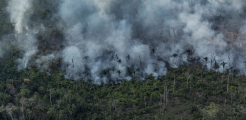 Vista aérea de um desmatamento na Amazônia para expansão pecuária, em Porto Velho, Rondônia: Amazônia segue encoberta pela fumaça e marcada pela devastação criminosa e sem controle (Foto: Victor Moriyama / Amazônia em Chamas - 15/09/2021)