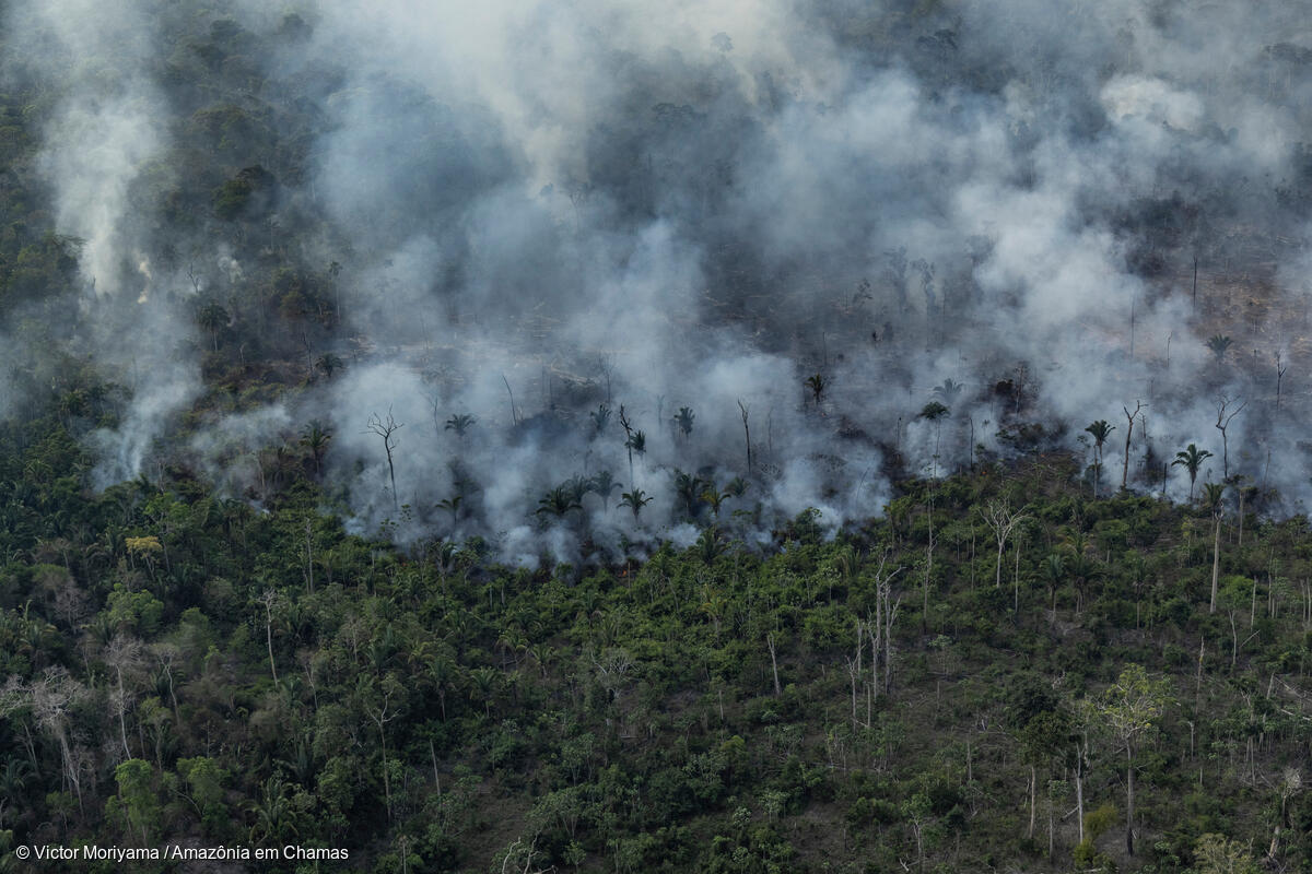 Vista aérea de um desmatamento na Amazônia para expansão pecuária, em Porto Velho, Rondônia: Amazônia segue encoberta pela fumaça e marcada pela devastação criminosa e sem controle (Foto: Victor Moriyama / Amazônia em Chamas - 15/09/2021)