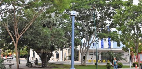 Piaui Conectado: poste sinaliza um ponto de Wi-Fi gratuito em uma praça arborizada no Piauí