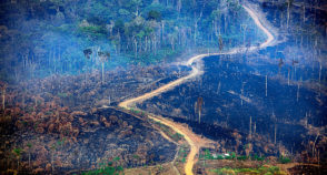 Amazônia na encruzilhada