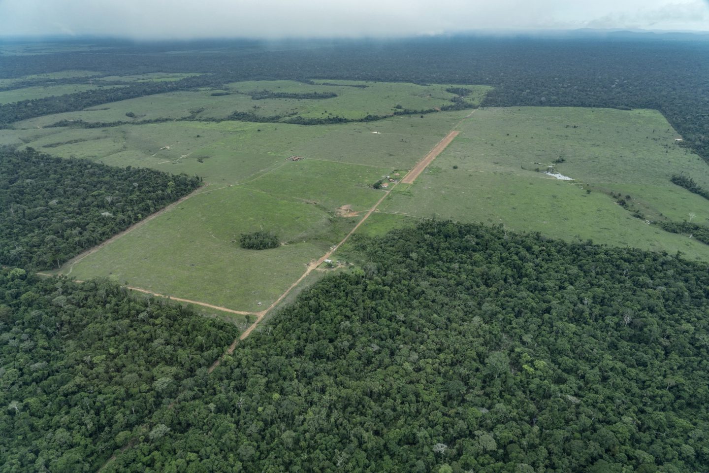 Fazenda dentro da TI Piripkura com construções rurais, cercas, pastagens, estábulos, e pista de pouso: ameaça a índios isolados (Foto: Rogério Assis/ISA)