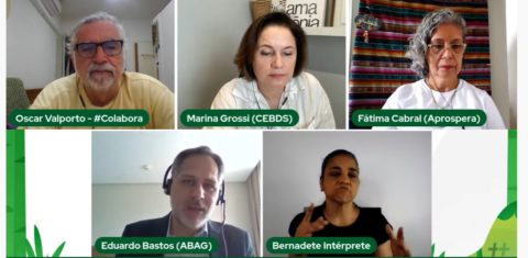 Debate Recuperação Verde: Caminhos do Brasil para o Desenvolvimento Sustentável