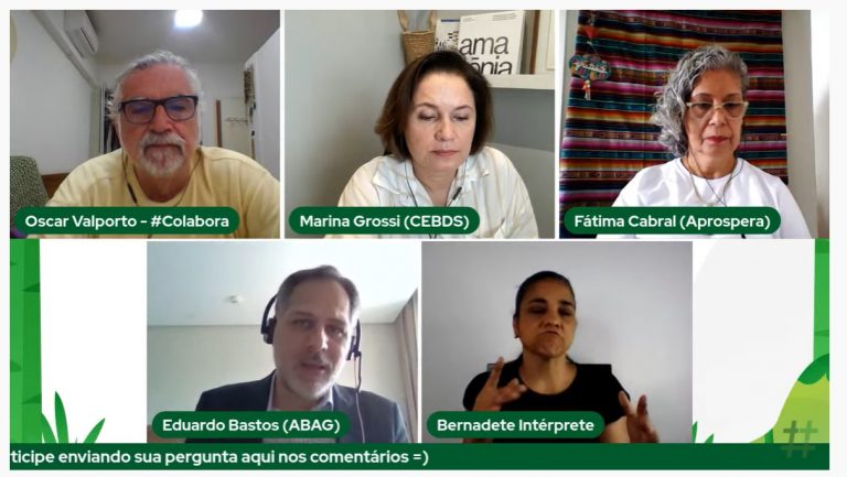 Debate Recuperação Verde: Caminhos do Brasil para o Desenvolvimento Sustentável