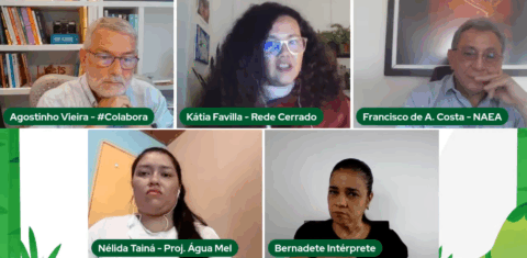 Os convidados do quinto debate do #Colabora discutem o desafio de conciliar preservação e crescimento econômico. Foto reprodução