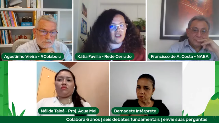 Os convidados do quinto debate do #Colabora discutem o desafio de conciliar preservação e crescimento econômico. Foto reprodução