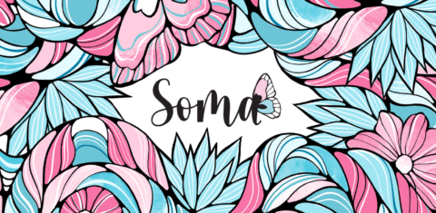 Identidade visual do programa Soma (Somos mais fortes em conjunto): cores da bandeira trans (Arte: Camila Gondo)