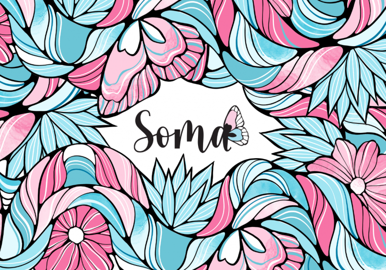 Identidade visual do programa Soma (Somos mais fortes em conjunto): cores da bandeira trans (Arte: Camila Gondo)