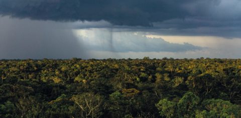 Chuva sobre a Floresta Amazônica: aumento de gás carbônico sobre a floresta causaria redução da precipitação (Foto: Rogério Assis/Revista Fapesp)