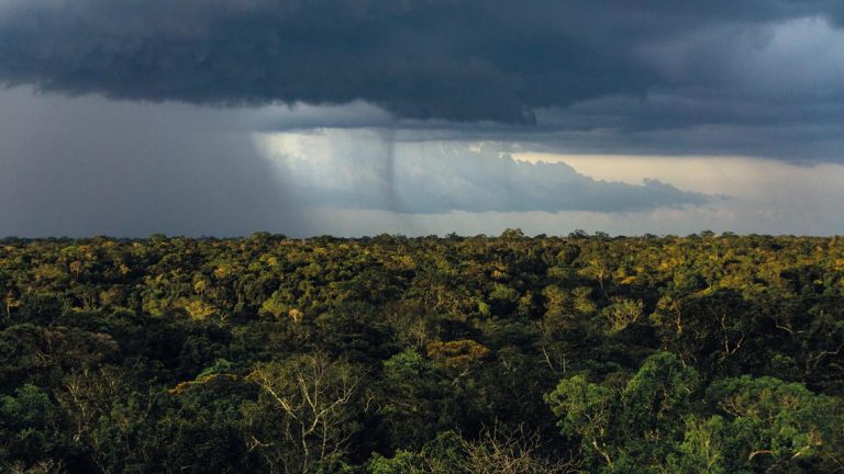 Chuva sobre a Floresta Amazônica: aumento de gás carbônico sobre a floresta causaria redução da precipitação (Foto: Rogério Assis/Revista Fapesp)