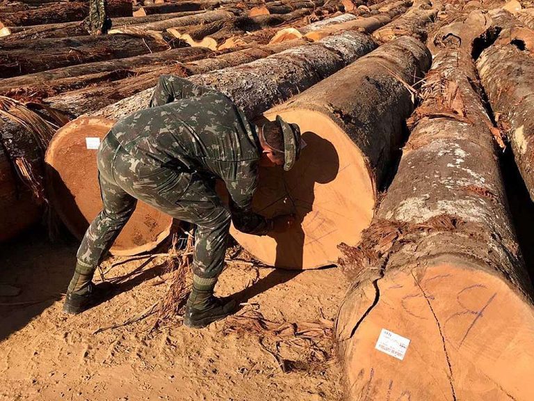 Militar do Exército com toras de madeira extraída ilegalmente na Terra Karipuna, em Rondônia: indígenas processam Funai, União e estado por invasão e desmatamento (Foto: Divulgação/25º BIS -Batalhão de Infantaria da Selva - 02/05/2019)