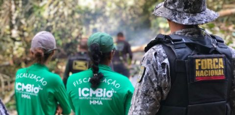 Operação do ICMBio com apoio da Força Nacional, no Pará, antes da pandemia: apreensão de gado, planejada há mais de um ano, cancelada pela direção (Foto: Divulgação/ICMBio - 19/06/2019)