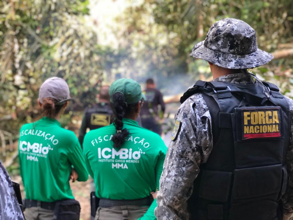 Operação do ICMBio com apoio da Força Nacional, no Pará, antes da pandemia: apreensão de gado, planejada há mais de um ano, cancelada pela direção (Foto: Divulgação/ICMBio - 19/06/2019)