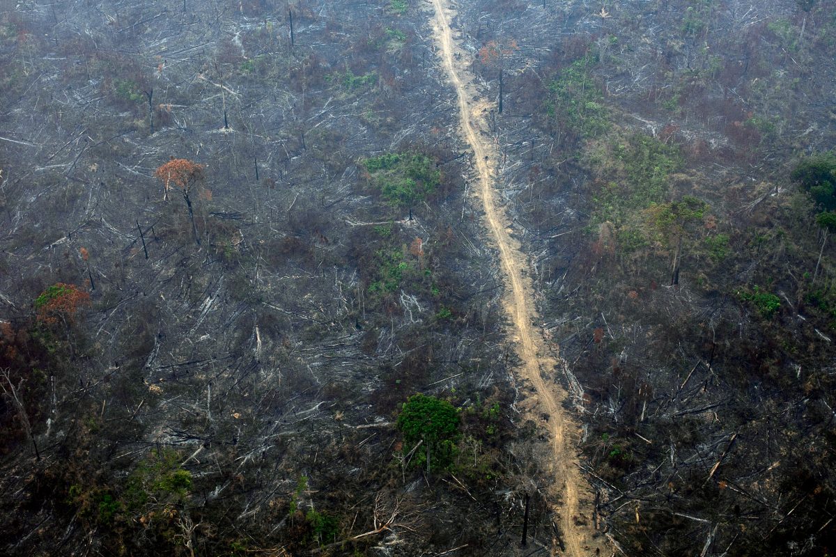 Desmatamento e fogo na Floresta Nacional do Jamanxim, município de Novo Progresso, Pará: devastação em unidades de conservação disparou no governo Bolsonaro (Foto: Marizilda Cruppe/Amazônia Real/Amazon Watch - 17/09/2020)