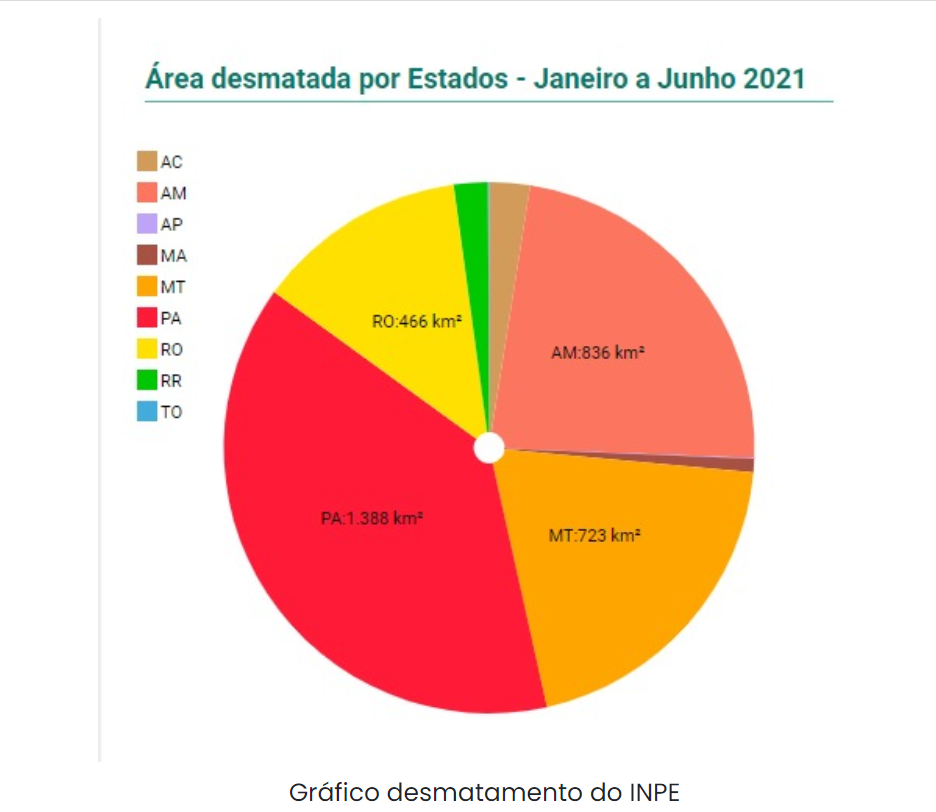 Alertas de desmatamento em alta nos estados da Amazônia Legal de acordo com dados do Inpe (Gráfico: Amazônia Real)