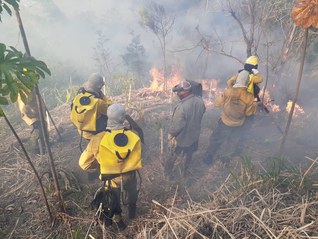 Combate ao fogo na na Serra do Barata, no Parque Estadual da Pedra Branca: incêndios são frutos de ação humana (Foto: Corpo de Guarda-Parques/Inea)