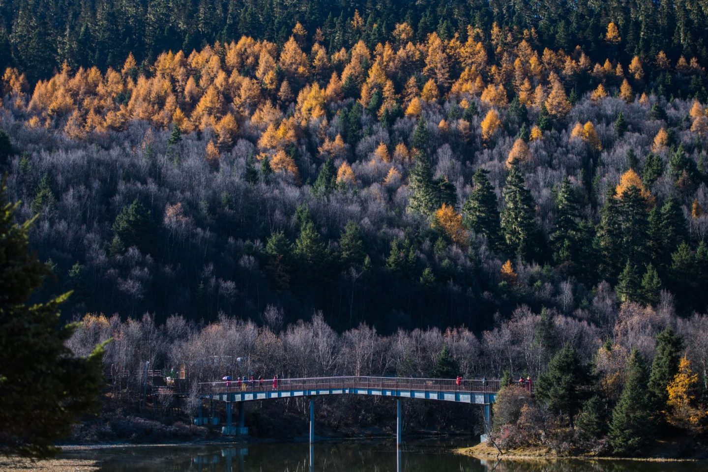 Parque Nacional de Potatso, na província chinesa de Yunnan, onde estão 42% das espécies de plantas e 72% dos animais protegidos do país: na Cúpula da ONU sobre biodiversidade, marcada para a capital da província, chineses vão precisar compromisso com proteção da natureza (Foto: Hu Chao / Xinhua / AFP - 06/11/2019)