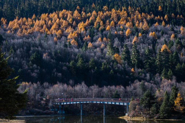 Parque Nacional de Potatso, na província chinesa de Yunnan, onde estão 42% das espécies de plantas e 72% dos animais protegidos do país: na Cúpula da ONU sobre biodiversidade, marcada para a capital da província, chineses vão precisar compromisso com proteção da natureza (Foto: Hu Chao / Xinhua / AFP - 06/11/2019)