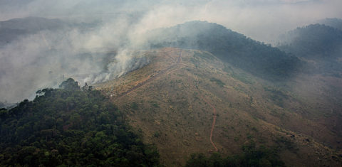 Desmatamento e focos de incêndio no sudoeste do Pará: carta de organizações alerta investidores estrangeiros sobre pauta antiambiental no Congresso (Foto Marizilda Cruppe/Amazon Watch/Amazônia Real - 17/09/2020)