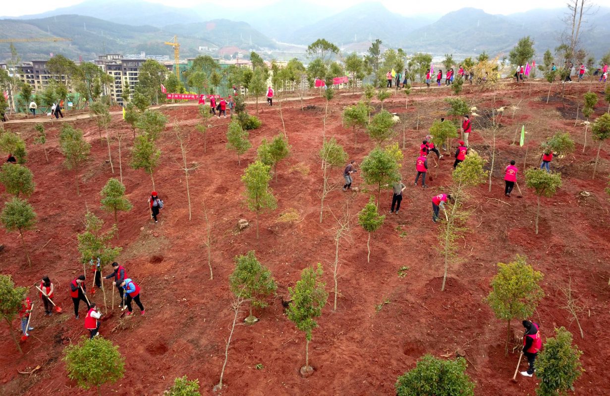 Mutirão para a plantação de árvores na cidade de Nanping, no sudoeste da China: país promete ampliar área plantada com árvores e ampliar parques nacionais (Foto: Chen Baicai / Xinhua / AFP -12/03/2021)