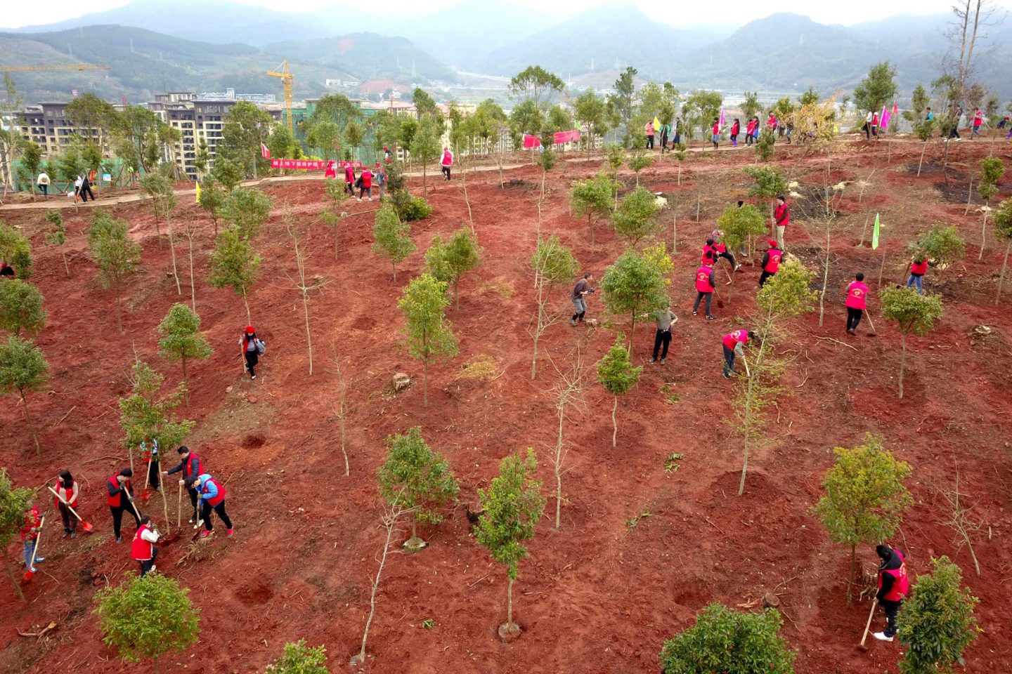 Mutirão para a plantação de árvores na cidade de Nanping, no sudoeste da China: país promete ampliar área plantada com árvores e ampliar parques nacionais (Foto: Chen Baicai / Xinhua / AFP -12/03/2021)