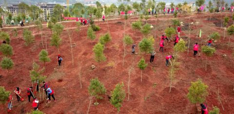Mutirão para a plantação de árvores na cidade de Nanping, no sudoeste da China: país promete ampliar área plantada com árvores e ampliar parques nacionais (Foto: Chen Baicai / Xinhua / AFP -12/03/2021)