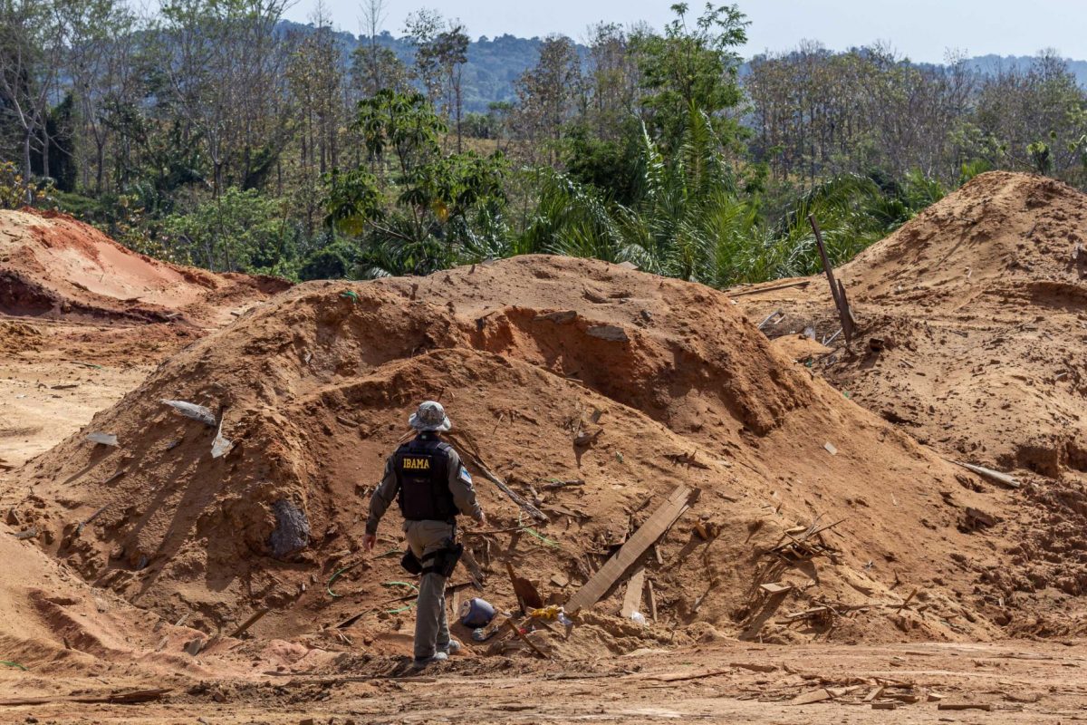 Fiscal do Ibama em operação contra desmatamento ilegal em Rondônia: falta de servidores é o principal problema dos órgãos ambientais (Foto: Fernando Augusto/Ibama - 17/06/2018)