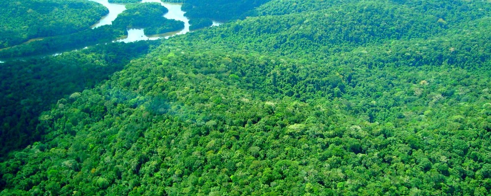 Conjunto de Glebas Mamuru Arapiuns em concessão para manejo florestal: estudo aponta que créditos de carbono em concessões florestais poderiam gerar mais de R$ 100 milhões por ano (Foto: Agência Pará)