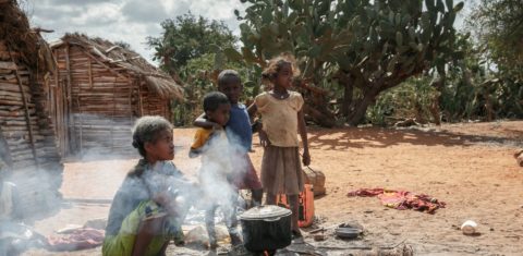 Mulher cozinha folhas de cactos para os filhos em meio à seca em Madagascar: insegurança alimentar com combinação de crise climática e pandemia (Foto: RIJASOLO / AFP - 30/08/2021)