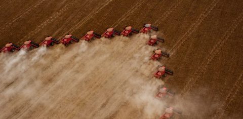 Colheita de soja em Mato Grosso: área de lavouras no Brasil triplicou desde 1985 (Foto: José Medeiros / Sudeco / Agência Brasil)