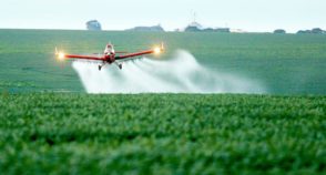 Dos relatos à ciência: por que é tão difícil comprovar impactos de agrotóxicos
