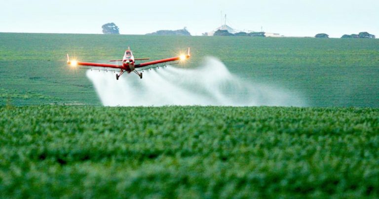 Avião pulveriza plantação no interior de São Paulo: bolsas de reportagem para investigar impacto dos agrotóxicos (Foto: Agência Brasil)