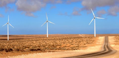Torres de energia eólica no Sahara Ocidental: Marrocos produz energia renovável em áreas ocupadas e alvo de disputa internacional (Foto: Patrice Thebaud / AFP)