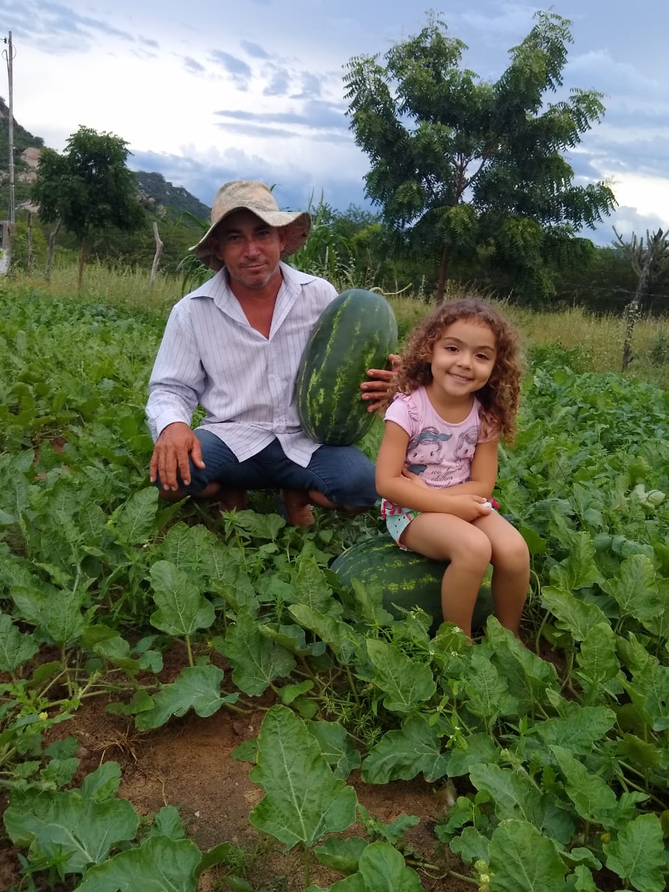 O assentado Antonio Herminio e a neta Maria Sophia na plantação de melancia. (Foto: Arquivo pessoal)