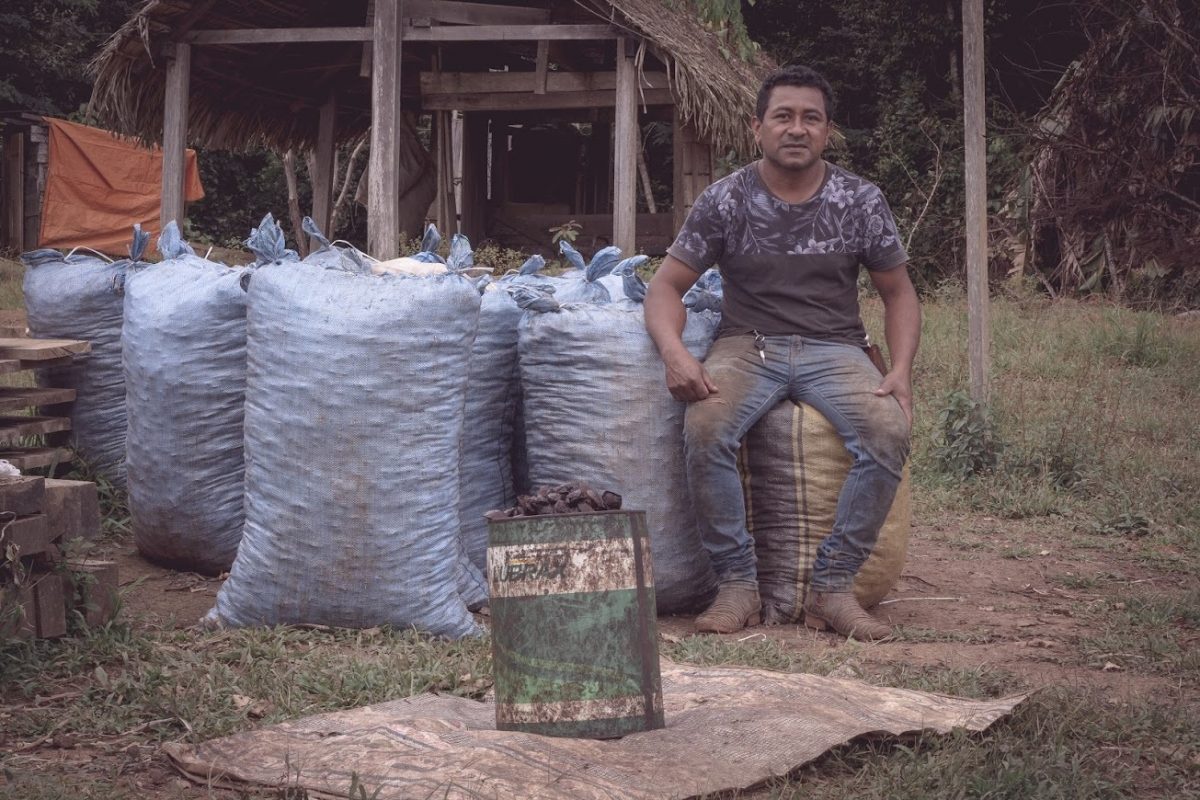 Edivaldo Kaxarari, professor primário em Barreirinha, compra e vende castanhas para complementar a renda. Cada lata custa R$ 5. Foto Flávia Milhorance. Março/2021